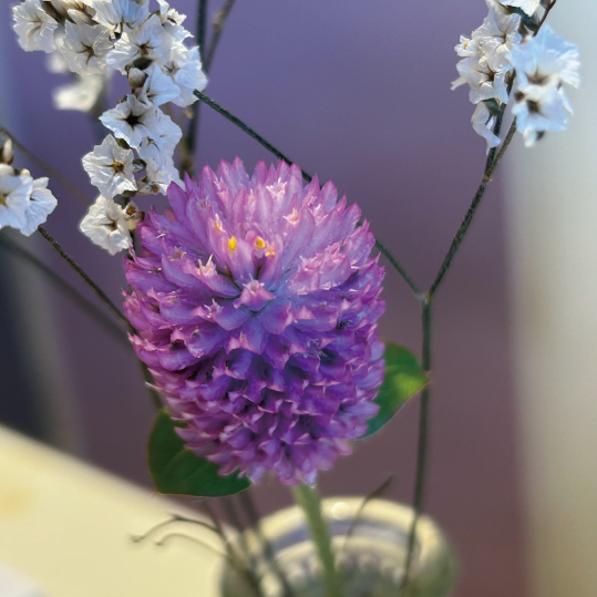 ものぐさ院長、花を飾る